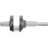 Vilebrequin LONCIN 1302902260001