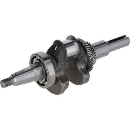 Ensemble vilebrequin LONCIN 1302900670001