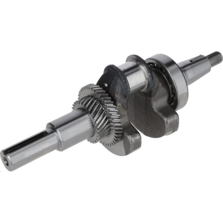 Ensemble vilebrequin LONCIN 1302900670001