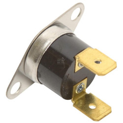 Thermostat MASTER 13104032883