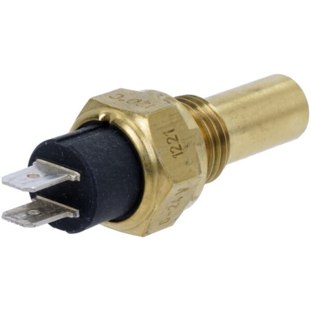Capteur CNH 132000060724