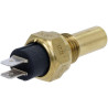 Capteur CNH 132000060724