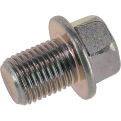 Bouchon de purge KUBOTA 1390133750