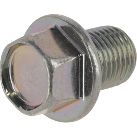 Bouchon de purge KUBOTA 1390133750