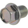 Bouchon de purge KUBOTA 1390133750