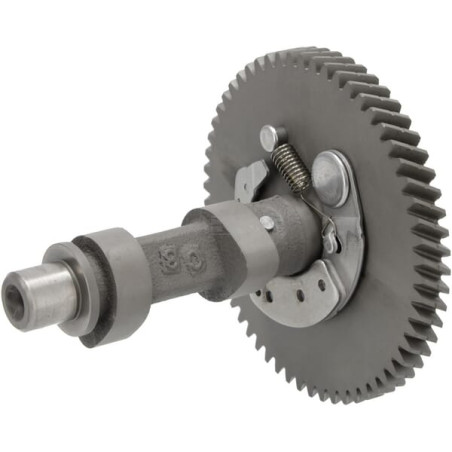 Arbre à cames HONDA 14100ZF5L03