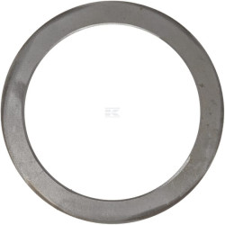 Disque LANDINI 1425222M1