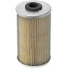 Filtre LANDINI 1420095M1