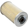 Filtre LANDINI 1420095M1