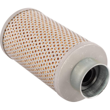 Filtre LANDINI 1425418M1