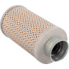 Filtre LANDINI 1425418M1