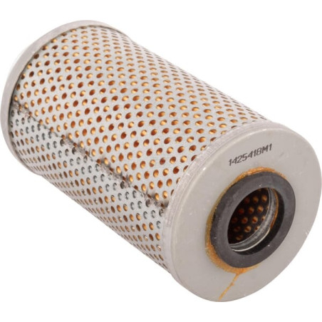 Filtre LANDINI 1425418M1