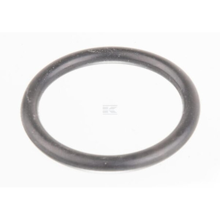 Bague RAICO 14463480N