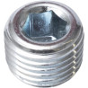 Bouchon SPICER DANA 1442560X1N