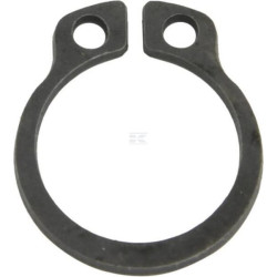Bague AGCO 1440474X1