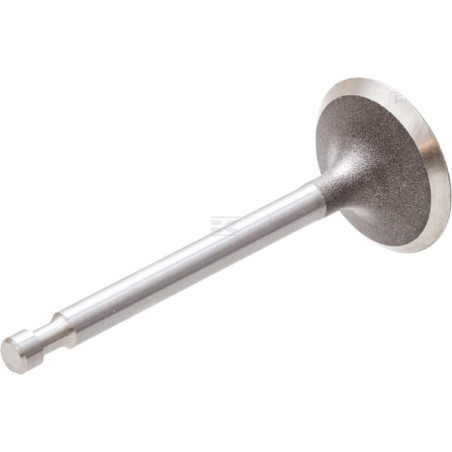 Soupape d'admission HONDA 14711Z5T900