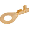 Fiche anneau UNBRANDED 1440000124