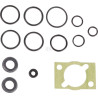 Kit BOSCH REXROTH 1537010244