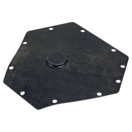 Membrane de régulateur UNBRANDED 16005003011