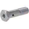 Joint de boulon KUBOTA 1603051320