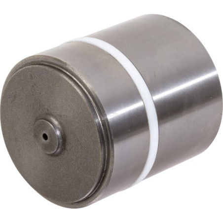 Piston RAICO 1665738M91N