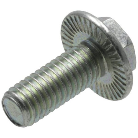 Vis BRIGGS & STRATTON 1739622YP