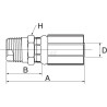 Raccord à sertir GATES 16G16MBSPT