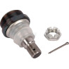 Ball joint UNBRANDED 1695045M91N