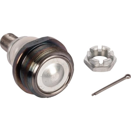 Ball joint UNBRANDED 1695045M91N