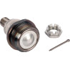Ball joint UNBRANDED 1695045M91N