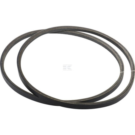 Courroie de traction BRIGGS & STRATTON 1716996SM