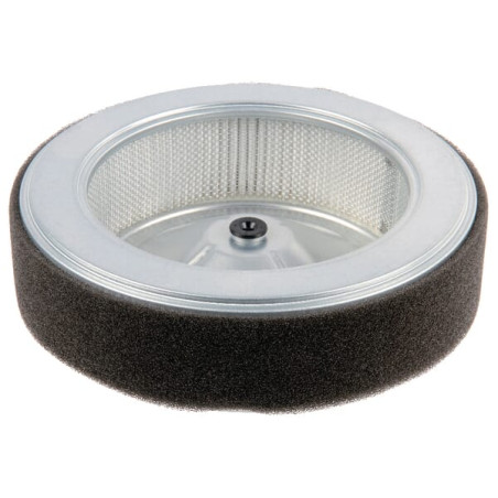 Filtre HONDA 17210Z6L010
