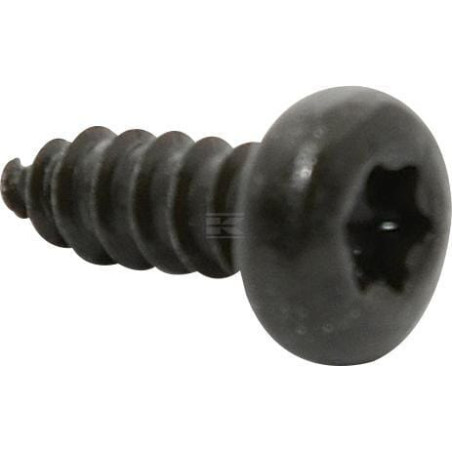 Boulon BRIGGS & STRATTON 1725702SM