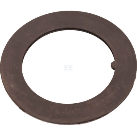 Disque AGCO 178100080450