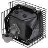 Silencieux LONCIN 1805713460002