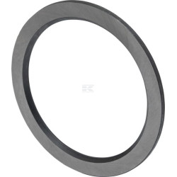 Disque LANDINI 1823572M1