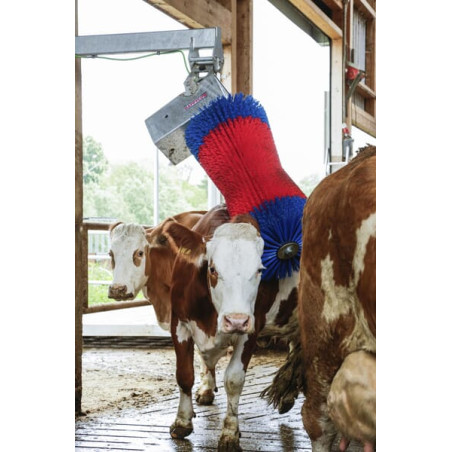Brosse bétail HAPPYCOW 18860