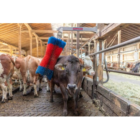Brosse bétail HAPPYCOW 18865