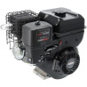 Moteur BRIGGS & STRATTON 19N1320237H5