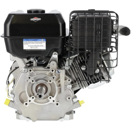 Moteur BRIGGS & STRATTON 19N1320237H5
