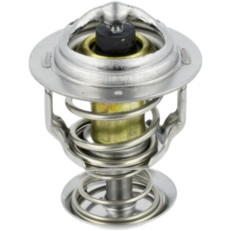 Thermostat KUBOTA 1A02173013