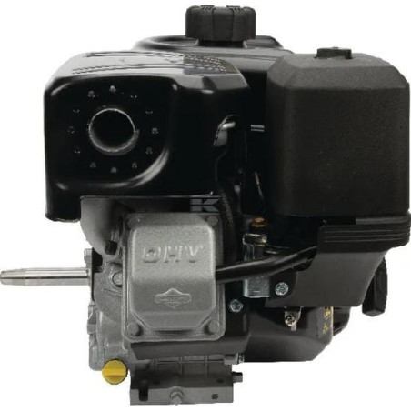 Moteur BRIGGS & STRATTON 19L2320120F1