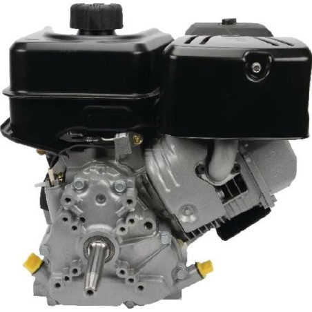 Moteur BRIGGS & STRATTON 19L2320120F1