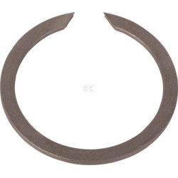 Bague AGCO 195363M1
