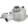 Pompe à eau BRIGGS & STRATTON 198062GS