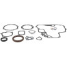 Kit KUBOTA 1G00799364