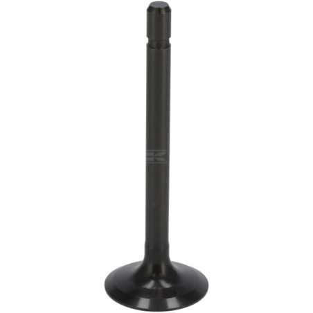 Soupape d'admission KUBOTA 1G67313112