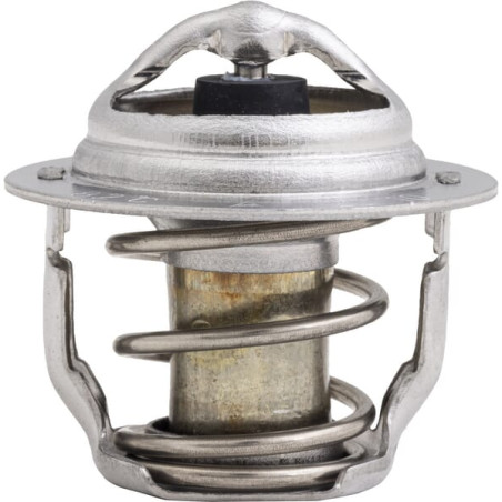 Thermostat KUBOTA 1E40173012
