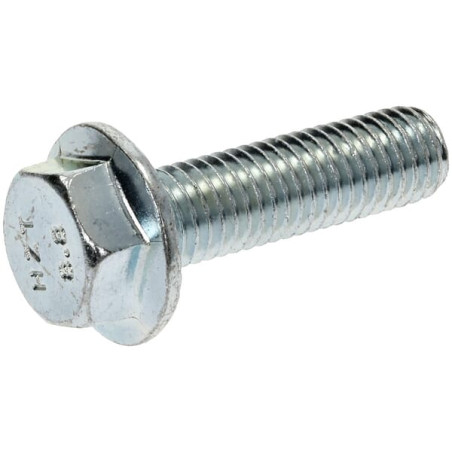 Boulon LELY 200861N