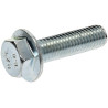 Boulon LELY 200861N
